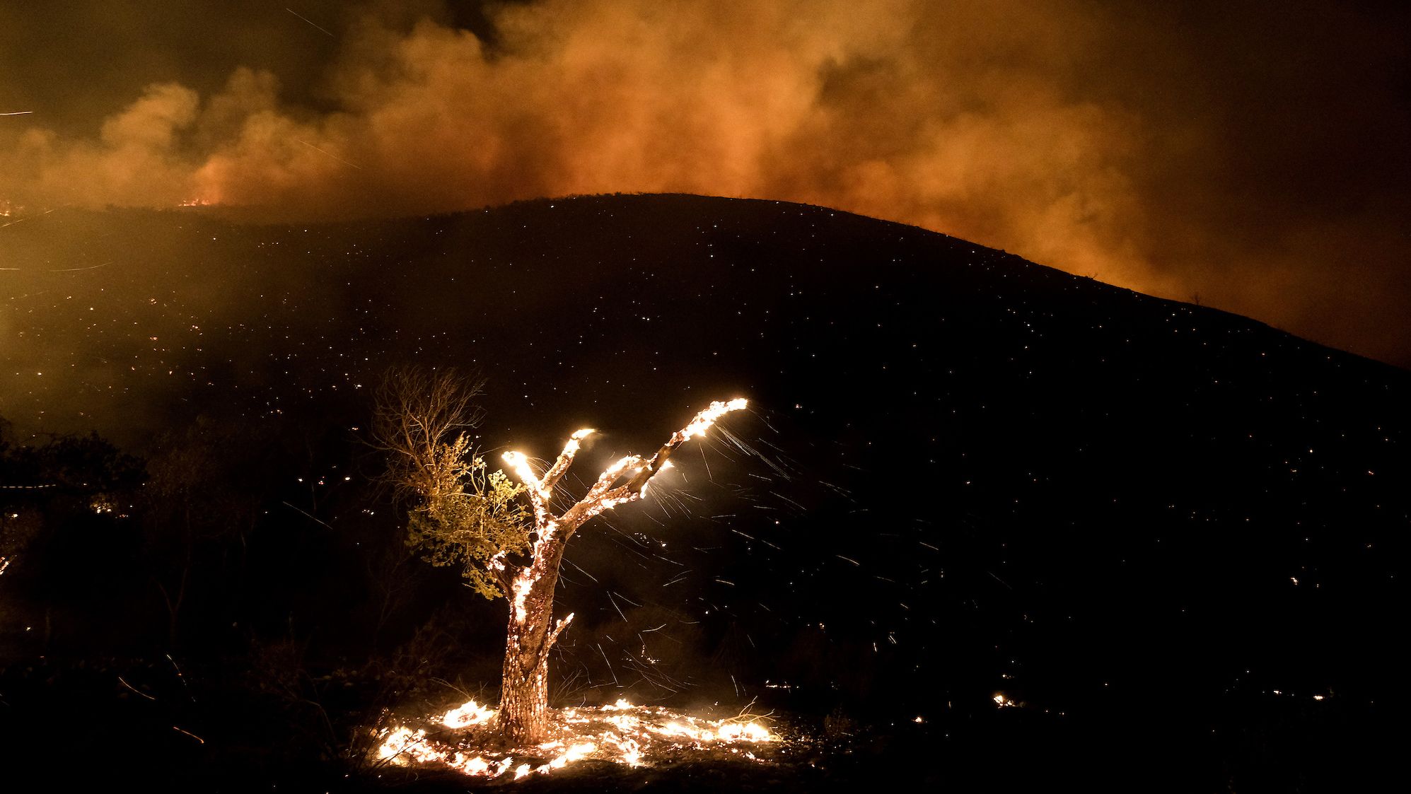 Wind whips embers from a burning tree near Hemet, California, on Tuesday, September 6. <a href="https://www.cnn.com/2022/09/06/us/california-fairview-fire/index.html" target="_blank">The Fairview Fire</a> forced hundreds of residents to flee amid a <a href="http://www.cnn.com/2022/09/06/us/gallery/west-heat-wave/index.html" target="_blank">severe heat wave</a> that has enveloped the region.