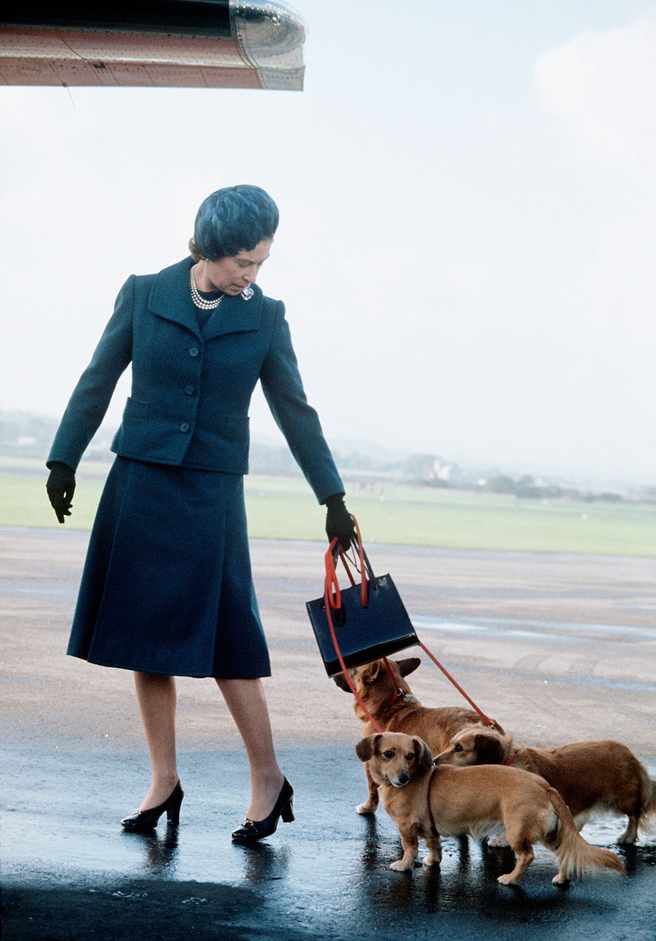 The Queen and her corgis arrive at Aberdeen Airport to start a vacation in Scotland in 1974.