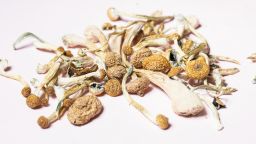 Psilocybin mushrooms with golden caps on a pink background