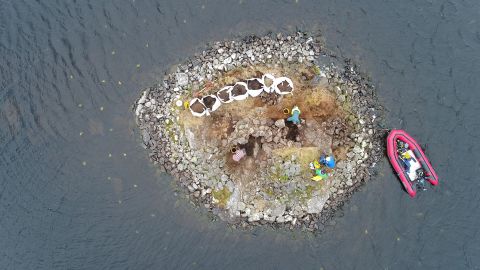 Dozens of pottery pieces were stored underwater among these artificial islands known as crannogs.