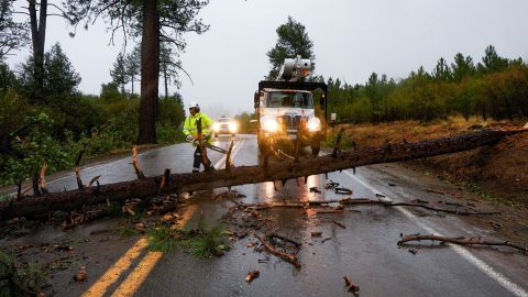 Caltrans workers remove a fallen tree blocking transit on SR-79 between Paso Picacho Campground and Lake Cuyamaca on Friday, September 9, 2022, in San Diego, California.