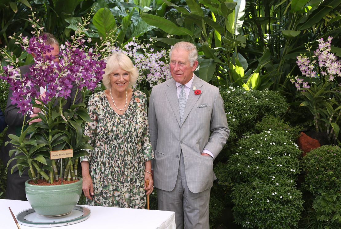 Prince Charles, now King Charles III, had an orchid named after him in Singapore. 