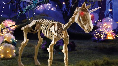 Halloween decoration with unicorn skeleton