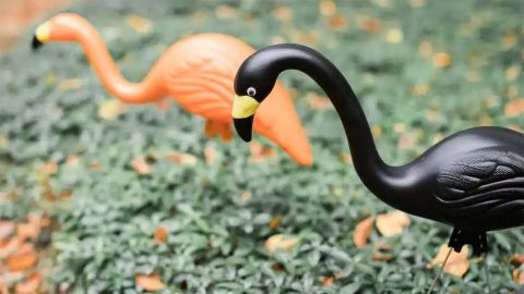 Bloem Spooky Flamingo Plastic Halloween Yard Decoration Set 2