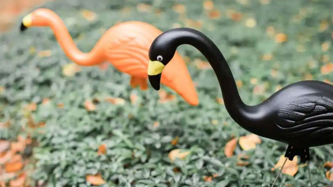 Home Depot Spooky Flamingo