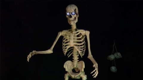 Seasonal 8-legged towering skeleton