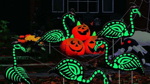 زينة Willbond Halloween المضيئة في ساحة فلامنغو الهيكل العظمي المظلم