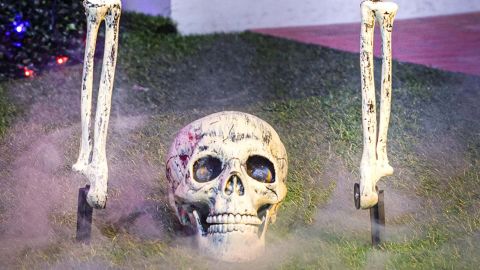 Joyin Halloween Decorations Skeleton Stakes