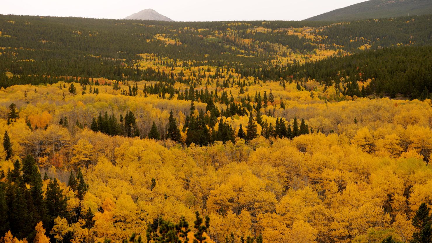 Some areas coping with drought conditions could see more muted fall colors.