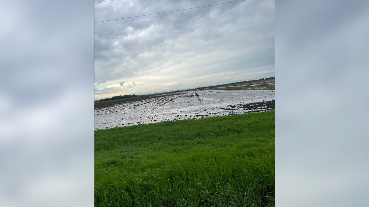 A soaked field of newly planted corn at Anne Schwagerl's Prairie Point Farm in western Minnesota after a heavy storm in the spring of 2022 dropped 3.5 inches of rain. The heavy rain came months after Schwagerl and other Minnesota farmers endured the worst drought in decades and exemplifies the "whiplash" nature of extreme weather, she said. 