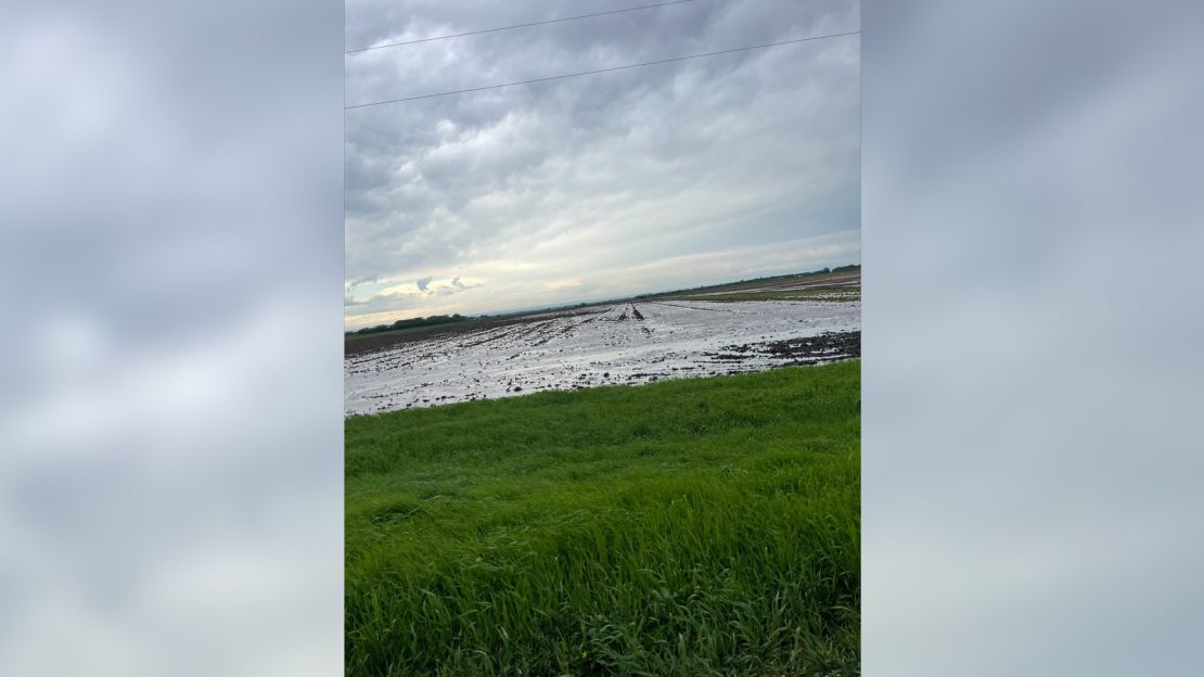 A soaked field of newly planted corn at Anne Schwagerl's Prairie Point Farm in western Minnesota after a heavy storm in the spring of 2022 dropped 3.5 inches of rain. The heavy rain came months after Schwagerl and other Minnesota farmers endured the worst drought in decades and exemplifies the "whiplash" nature of extreme weather, she said. 