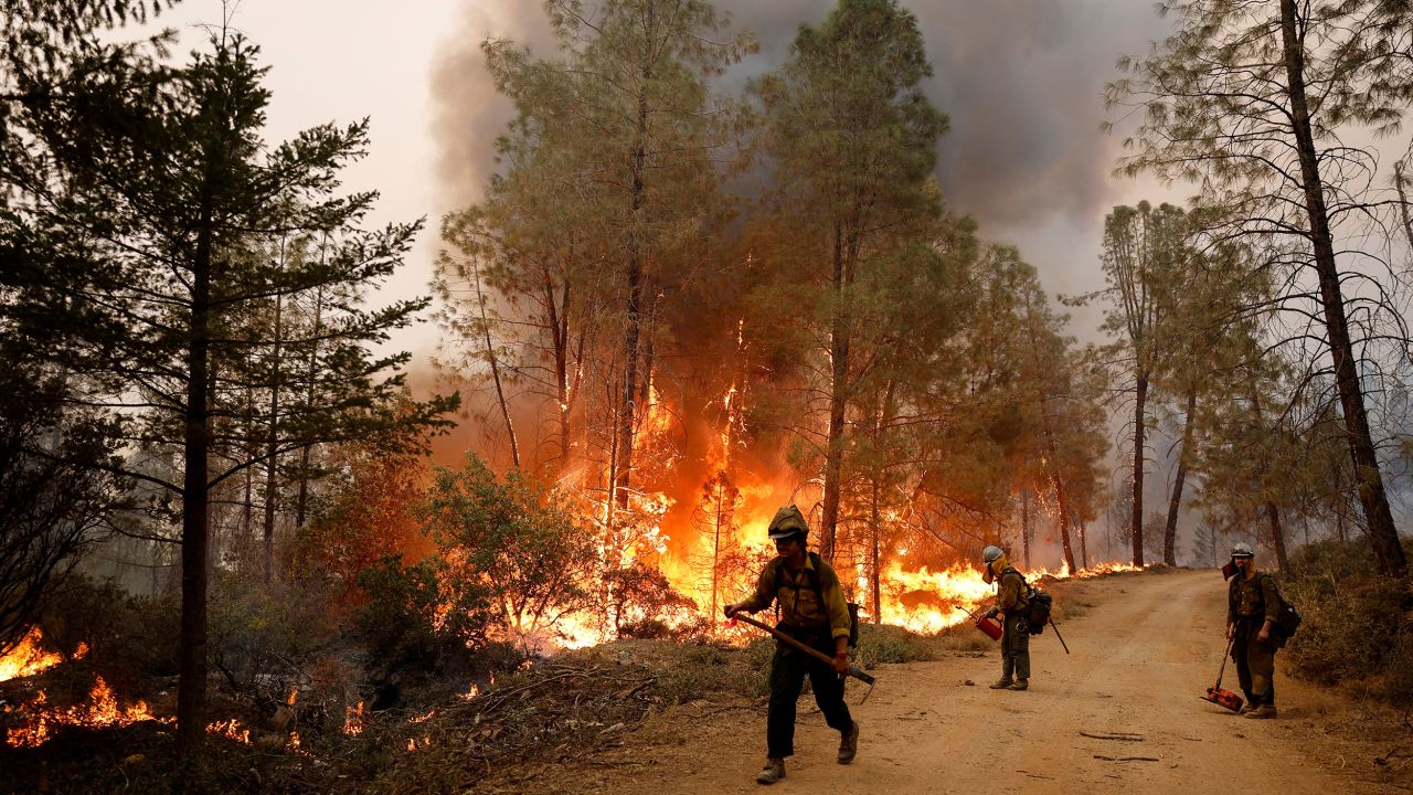 Firefighters monitor the progress of backfires while battling the Mosquito Fire at Volcanoville, California, on September 9, 2022.