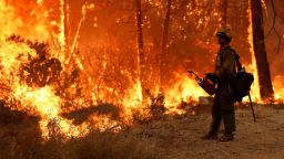 A firefighter monitors the flames from a backfire while fighting the Mosquito fire at Volcanoville, California, September 9, 2022.  