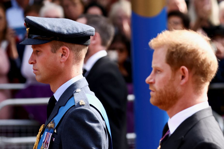 Prince William and Prince Harry walk during the procession on Wednesday.