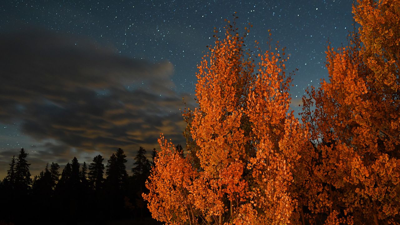 Fall foliage can come early in high-elevation places such as Kenosha Pass, Colorado. This photo was taken on September 19, 2016, at night with a long exposure, lit by moonlight and passing car headlights. 