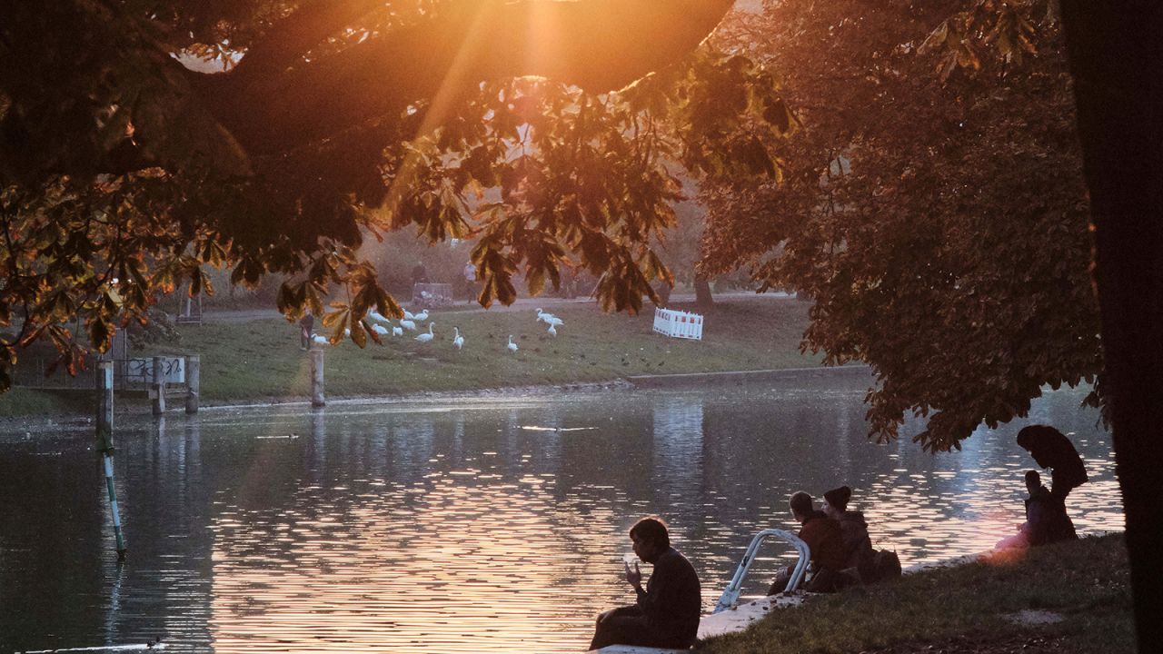 The evening sun shines through the autumn-colored foliage on chestnut trees on the banks of the Landwehrkanal in the Kreuzberg district of Berlin.