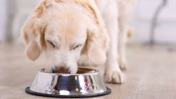 Just like human food, the production of pet food is taxing on the environment.