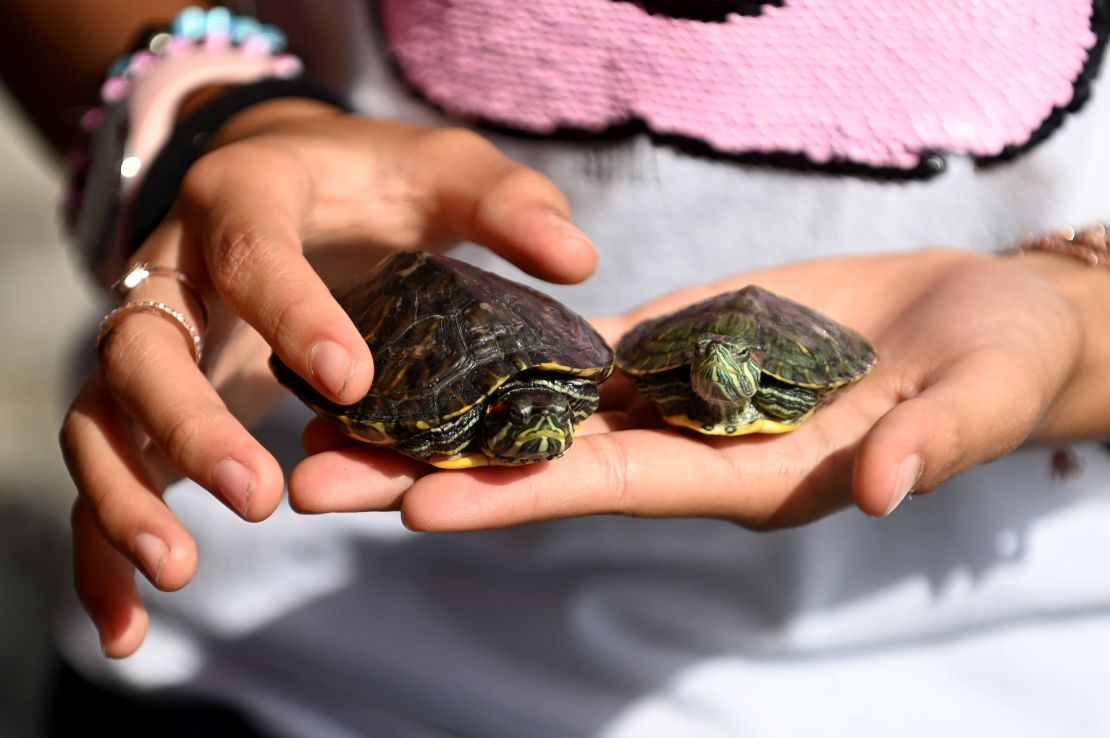 Smaller pets -- including things like mice, birds and turtles -- have a smaller climate impact.