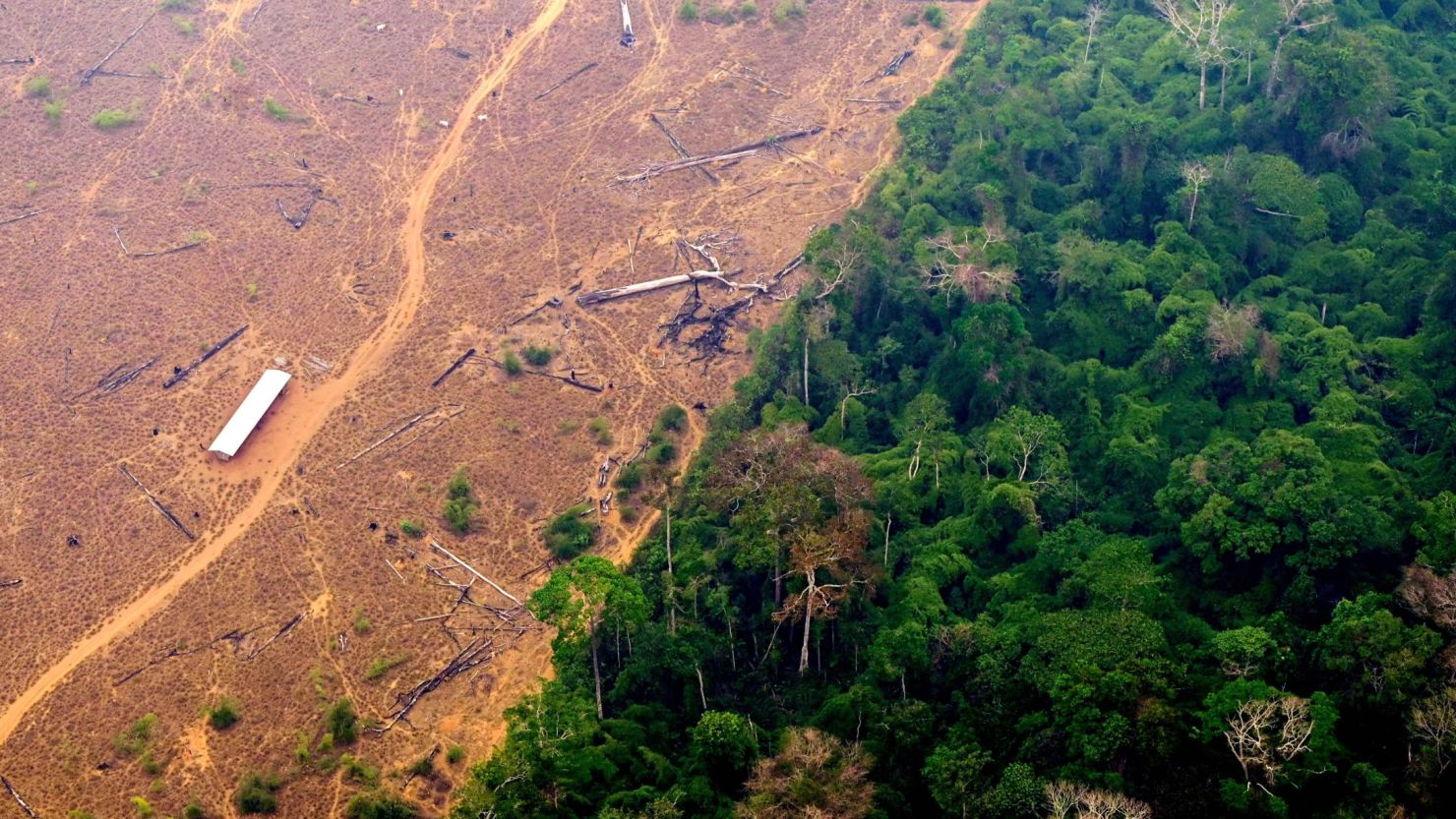 A deforested and burning area of the Amazon rainforest in 2022.