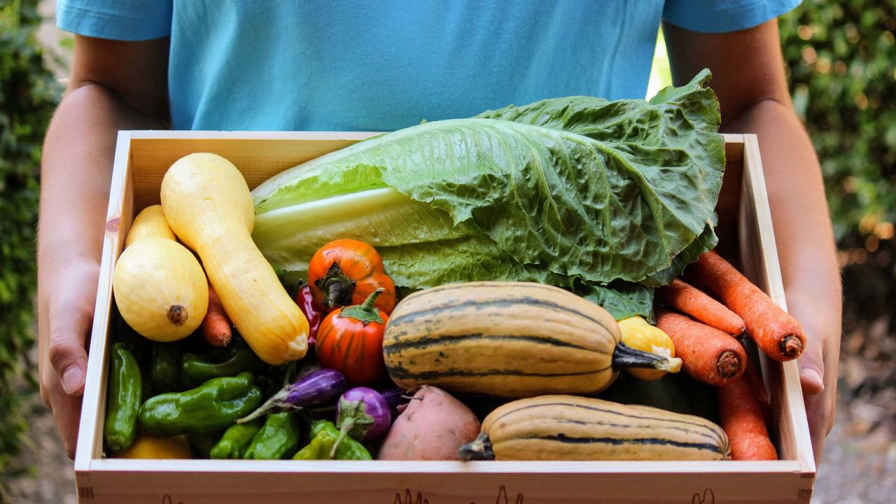 Local CSA Box