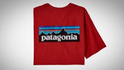 Patagonia reddish  shirt