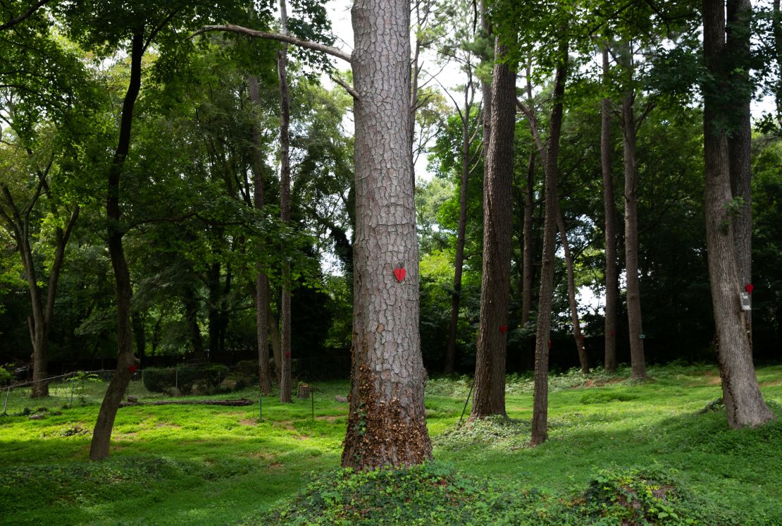 Trees are seen with hearts placed on them near the planned police development in Atlanta, Georgia, on July 22, 2022.