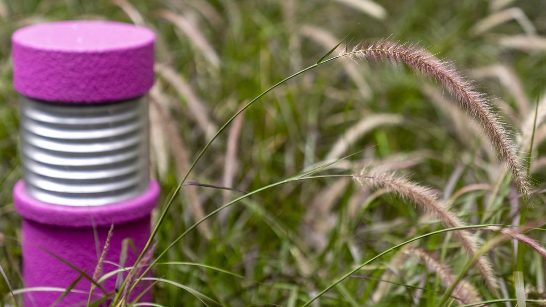 The team added three trees and increased the greenery in the park by 26%. They added new plants, including purple fountain grass (pictured) which adds movement and color to the flower beds.