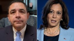 Attorneys Representing More Than 30 Migrants Flown To Massachusetts Urge Criminal Investigations | CNN Politics 3 Kamala Harris Henry Cuellar split