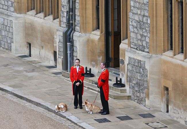 The Queen's corgis, Muick and Sandy, are walked inside Windsor Castle on Monday, ahead of the committal service at St. George's Chapel. <a href="index.php?page=&url=https%3A%2F%2Fwww.cnn.com%2F2022%2F09%2F11%2Fuk%2Fqueen-elizabeth-corgis-duke-duchess-york-intl%2Findex.html" target="_blank">They are being adopted</a> by the Duke and Duchess of York.