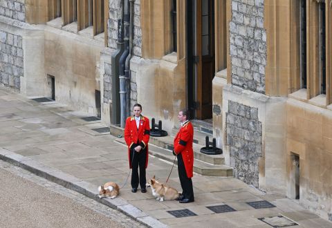 The Queen's corgis, Muick and Sandy, are walked inside Windsor Castle on Monday, ahead of the committal service at St. George's Chapel. <a href="https://www.cnn.com/2022/09/11/uk/queen-elizabeth-corgis-duke-duchess-york-intl/index.html" target="_blank">They are being adopted</a> by the Duke and Duchess of York.