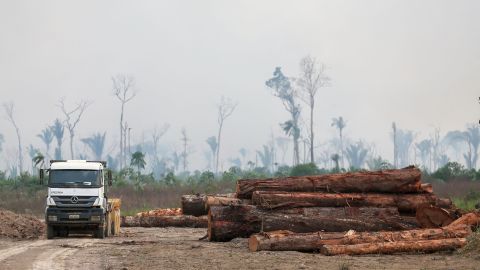 A truck drives past a pile of illegally cut down logs in the forest in Humaita, southern Amazonas State, Brazil, on September 17, 2022. 