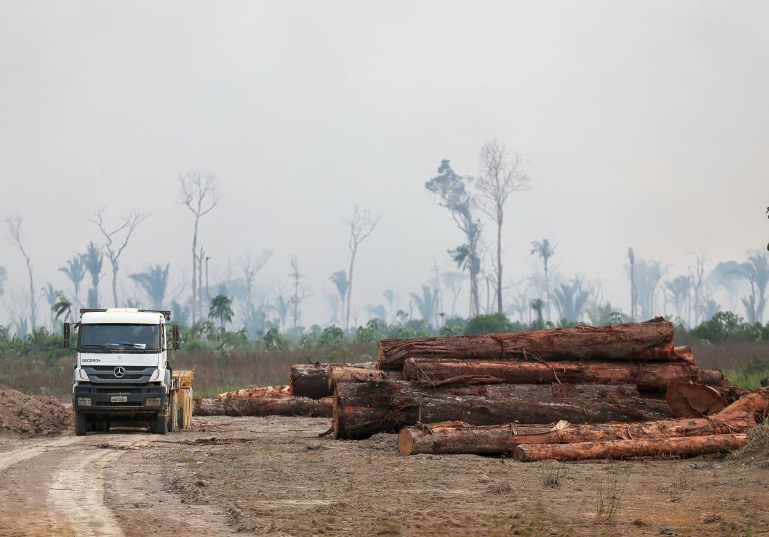 A truck drives past a pile of illegally cut down logs in the forest in Humaita, southern Amazonas State, Brazil, on September 17, 2022.