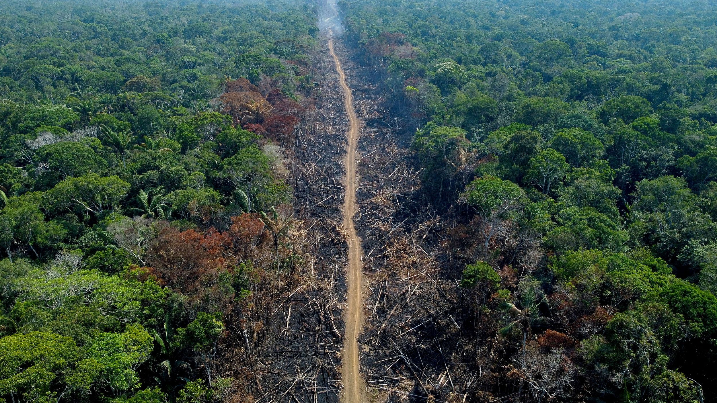  A deforested and burnt area is seen on a stretch of the BR-230 in Humaitá, Amazonas State, Brazil, on September 16, 2022. 