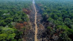 TOPSHOT - A deforested and burnt area is seen on a stretch of the BR-230 (Transamazonian highway) in Humaitá, Amazonas State, Brazil, on September 16, 2022. - According to the National Institute for Space Research (INPE), hotspots in the Amazon region saw a record increase in the first half of September, being the average for the month 1,400 fires per day. (Photo by MICHAEL DANTAS / AFP) (Photo by MICHAEL DANTAS/AFP via Getty Images)