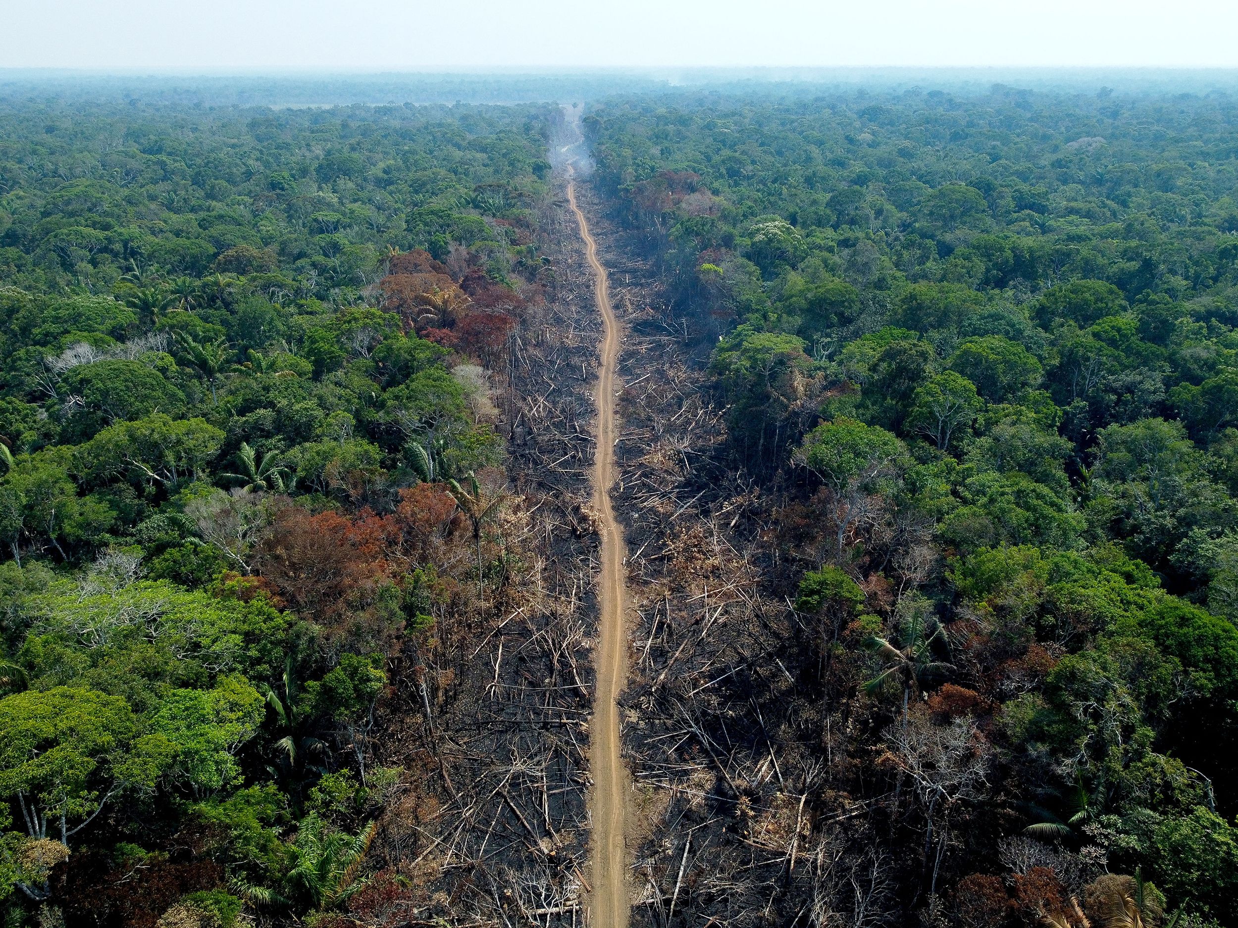 Deforestation is accelerating in Brazil as Bolsonaro's first term