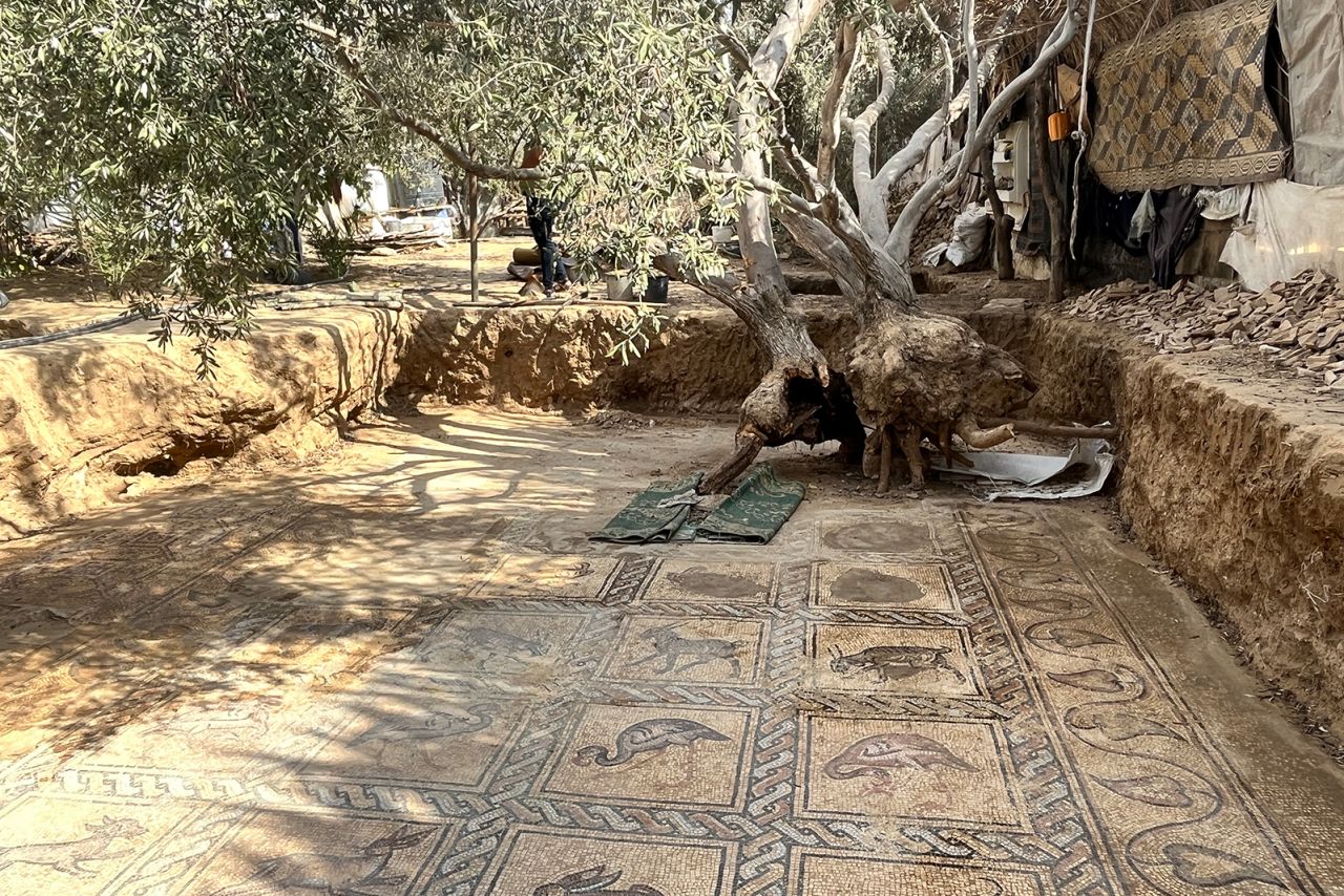 The mosaic panels depict animals and other features of life during the Byzantine era.