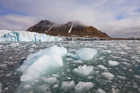 По мере повышения температуры в мире ледники тают, и ученые ищут способы предсказать их отступление. Один из потенциальных методов включает в себя прослушивание звуков, издаваемых ледниками. Океанограф Грант Дин пытается количественно оценить таяние льда с помощью акустических технологий, причем большая часть его работ сосредоточена на леднике Ганса (также известном как Хансбреен) на Шпицбергене, Норвегия (на фото). Этот ледник отступил примерно на 2,7 километра между 1900 и 2008 годами, согласно исследованию, опубликованному в <a target=