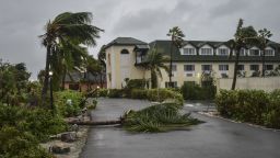 Fallen palm trees lay over the Ports of Call Resort entrance after the passage of Hurricane Fiona in Providenciales, Turks and Caicos Islands, Tuesday, Sept. 20, 2022. (AP Photo/Vivian Tyson)