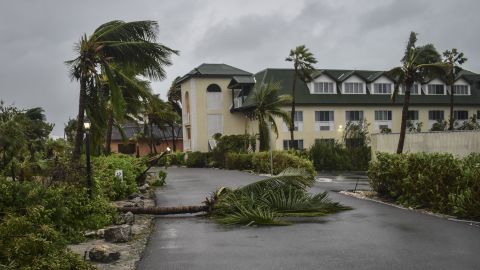 A fallen palm tree lies in the Ports of Call Resort entrance in Providenciales, Turks and Caicos Islands. 