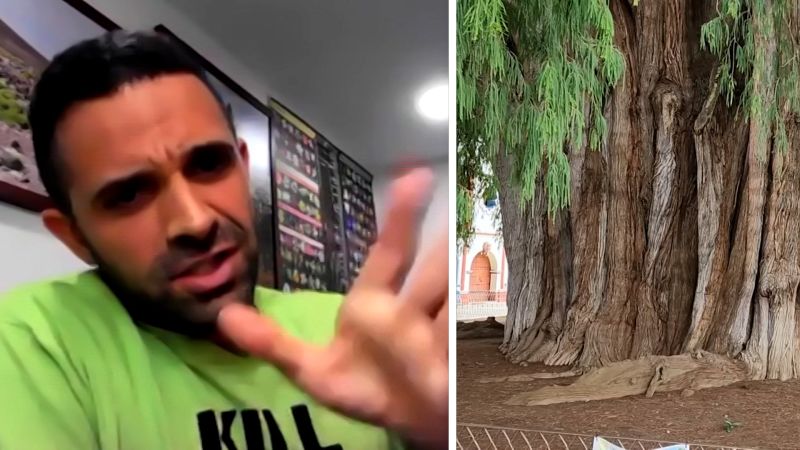 Profane botanist can't stop cursing about huge tree