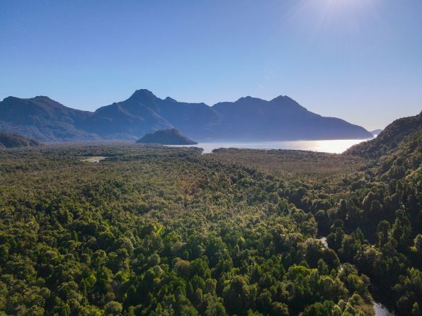 The Gulf of Corcovado is in an area of northern Patagonia known as the Chiloé ecoregion, which is recognized as a vital marine ecosystem, due to its great diversity of organisms.