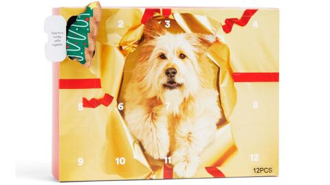 More and better advent calendar for small dogs 