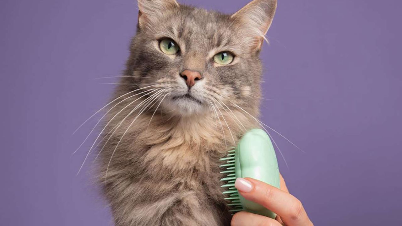 Tangle Teezer Cat Teezer