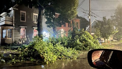 A downed tree is seen on a road as Fiona hits Prince Edward Island on Saturday.