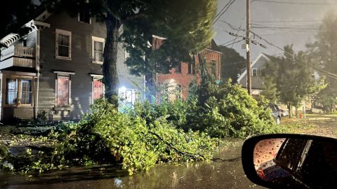 Se ve un árbol caído en una carretera cuando Fiona llega a la Isla del Príncipe Eduardo el sábado. 