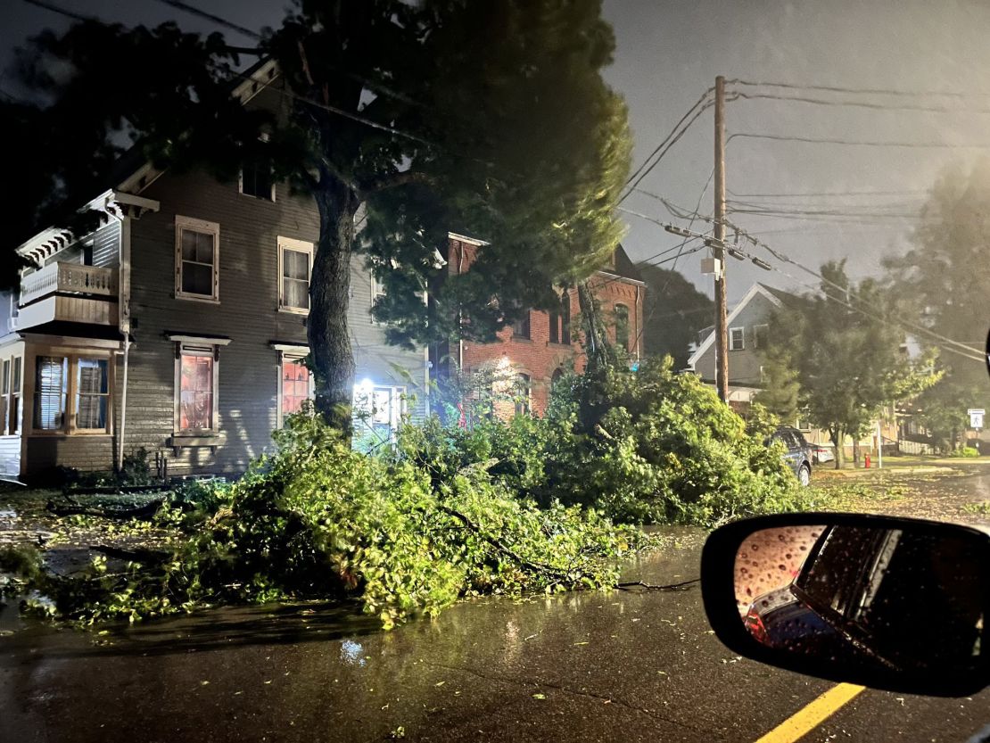 A downed tree is seen on a road as Fiona hits Prince Edward Island on Saturday. 