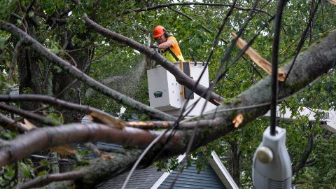 A worker clears fallen trees and downed wires from damage in Halifax on September 24, 2022.