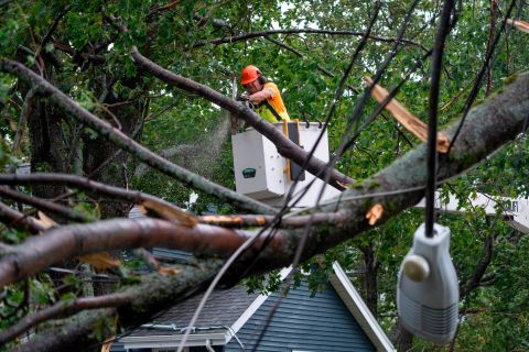 Um trabalhador limpa árvores caídas e fios caídos em Halifax, Nova Escócia, no sábado.