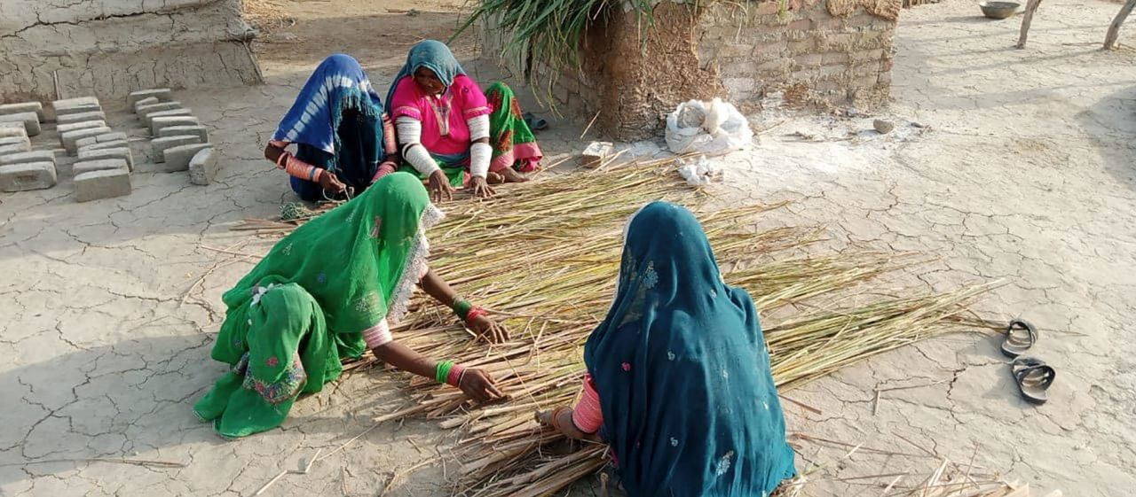 Women making matting for the bamboo shelters. 