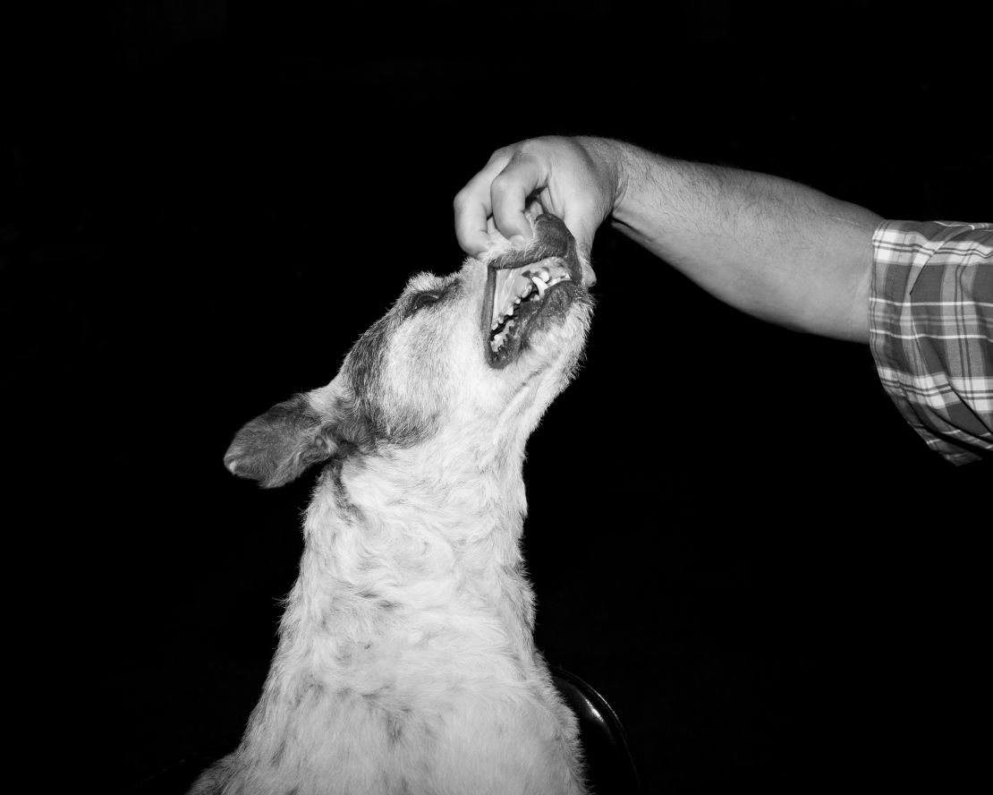 A dog named Fruit Snacks at the Outlaws and Angel's saloon. "I had a brief encounter with FS's owner, who wanted to show me the dog's ground-down teeth," Horvath explained.